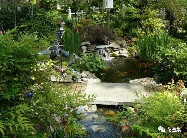 花园里的花怎么种植,花园里如何种花更容易活