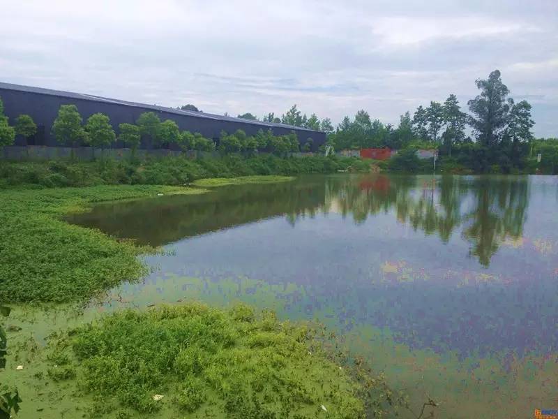 成都2020十大免费钓鱼地方,成都钓鱼地点推荐大全