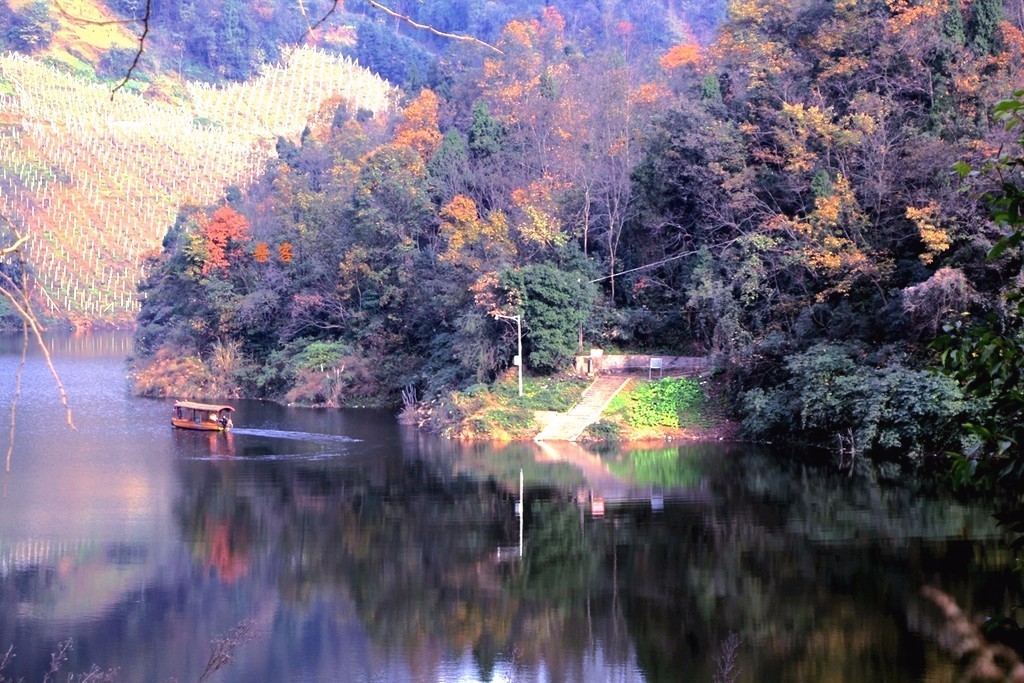 成都2020十大免费钓鱼地方,成都钓鱼地点推荐大全