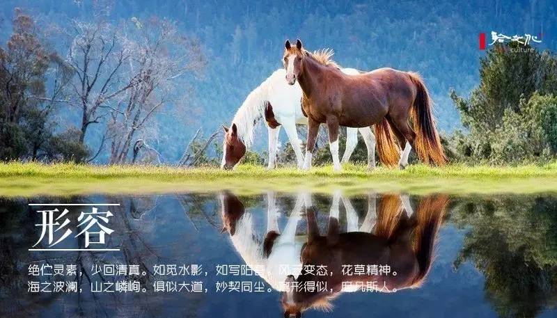 崇尚老庄的古人，写出了二十四种“道法自然”之美