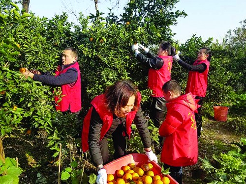 爱，让果园里漾满笑声