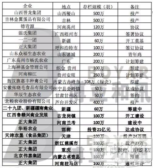 2020年中国蛋鸡业的范围,蛋鸡行业分析报告