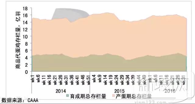 2020年中国蛋鸡业的范围,蛋鸡行业分析报告