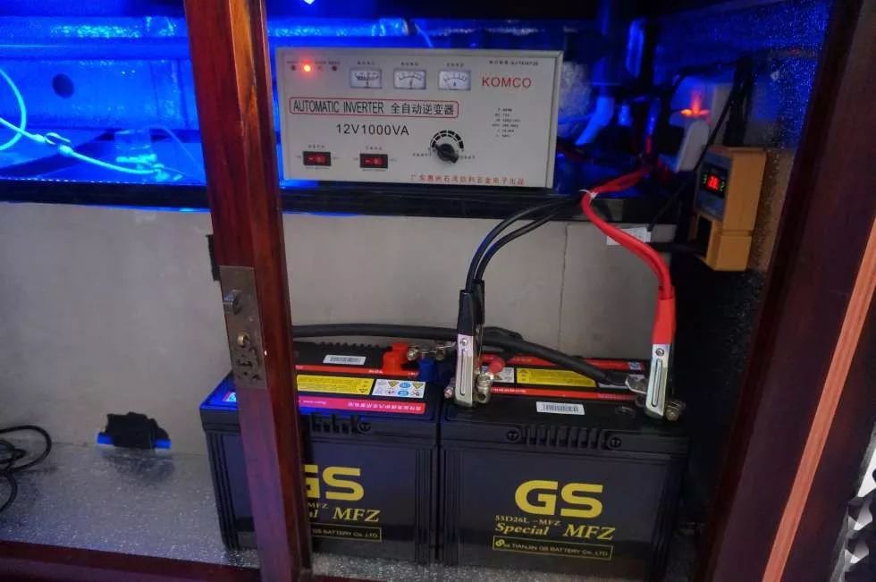 玩得细致、专业，出手不凡！