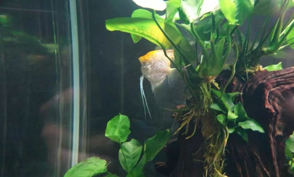 玩得细致、专业，出手不凡！