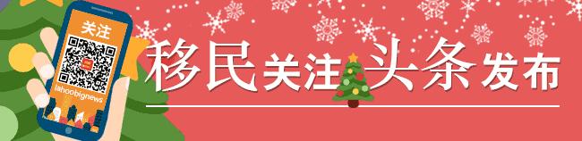 欧美时尚流行包包,圣诞节时尚新款包包