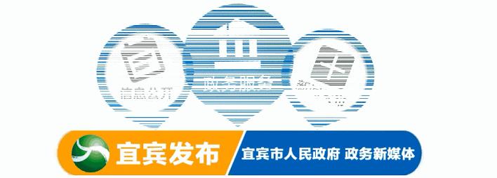 宜宾市国土自然资源厅,宜宾市国土资源局公示