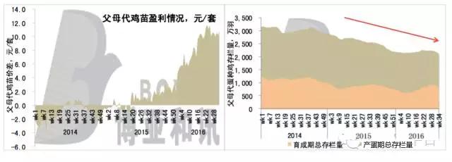 2020年中国蛋鸡业的范围,蛋鸡行业分析报告