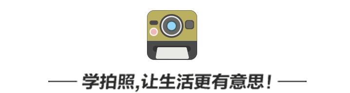 业余摄影爱好者何去何从,摄影不赚钱还能继续坚持下去吗