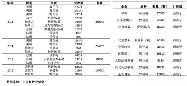 2020年中国蛋鸡业的范围,蛋鸡行业分析报告