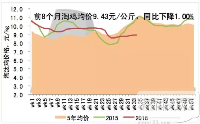 2020年中国蛋鸡业的范围,蛋鸡行业分析报告