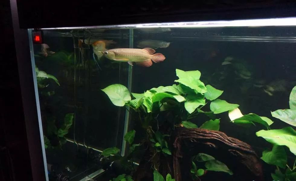 玩得细致、专业，出手不凡！