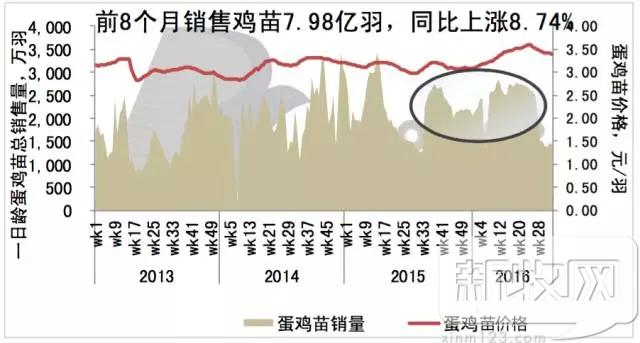 2020年中国蛋鸡业的范围,蛋鸡行业分析报告
