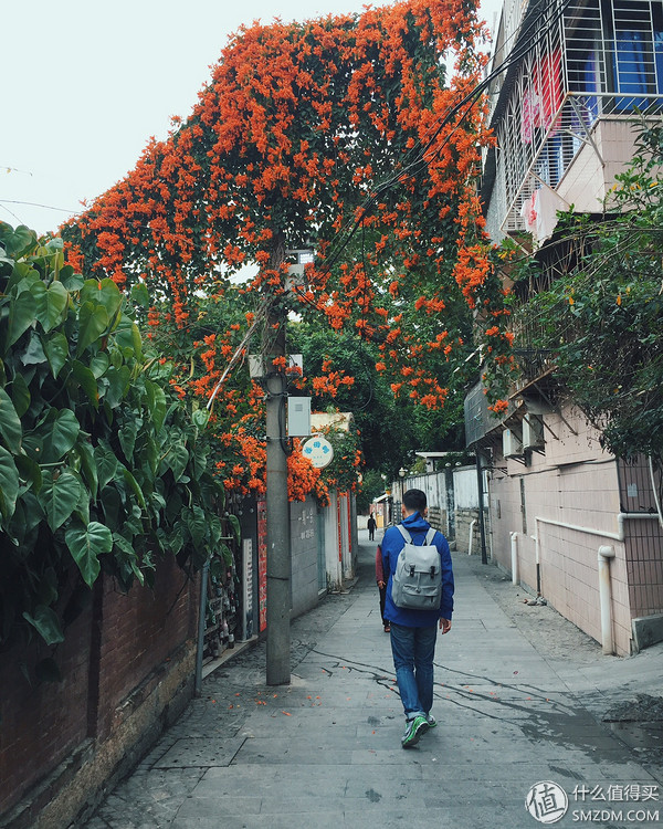 edc隐退之作,可玩性最高的edc