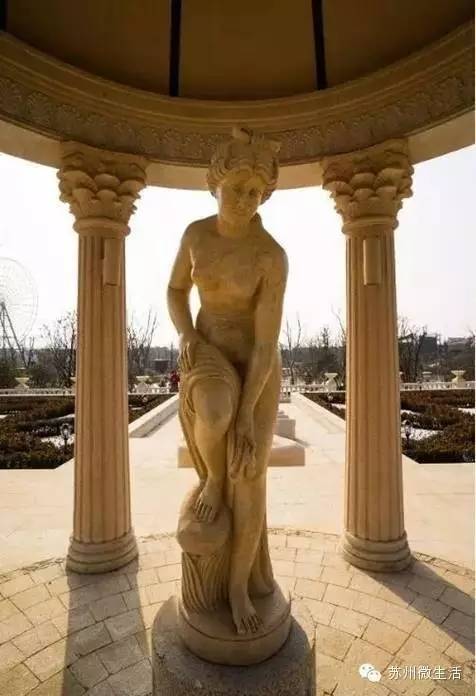 园博园花海在哪个位置,园博园花海现在还有么