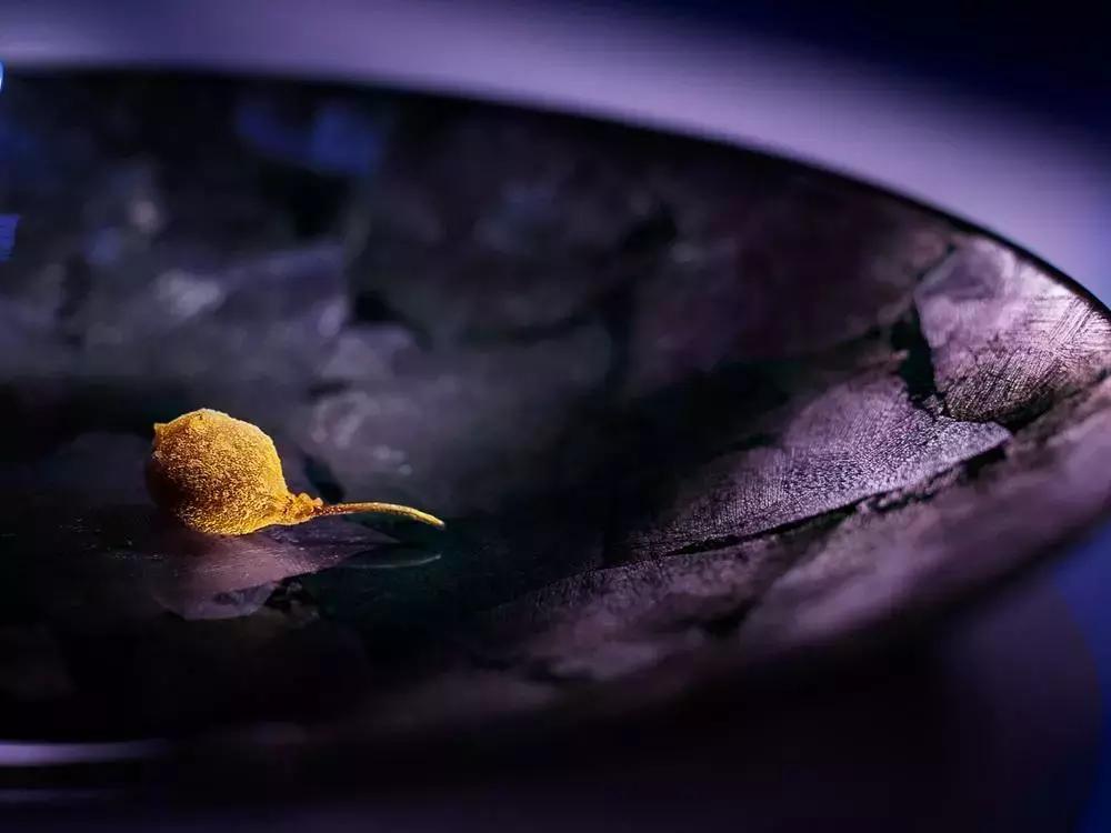 2021年度代表色,2020年的代表色