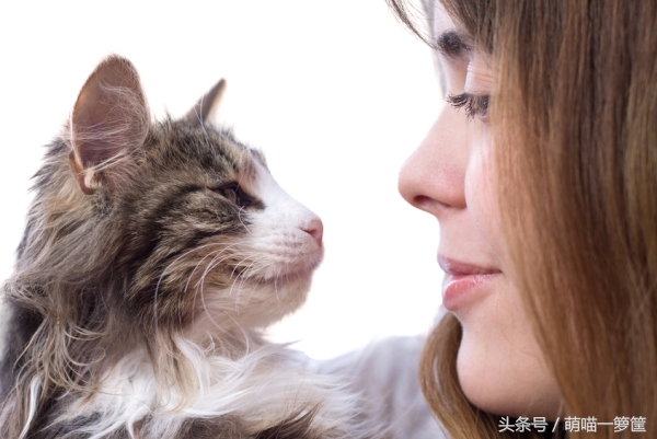 想知道你在喵星人的眼里是什么样儿的吗？答应我看完别伤心