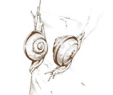 jojo的奇妙冒险6石之海替身介绍,jojo的奇妙冒险6石之海解析