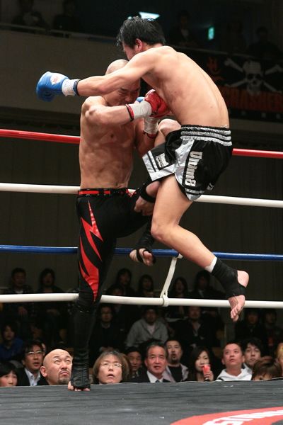 中国搏击运动员康恩,演员康恩