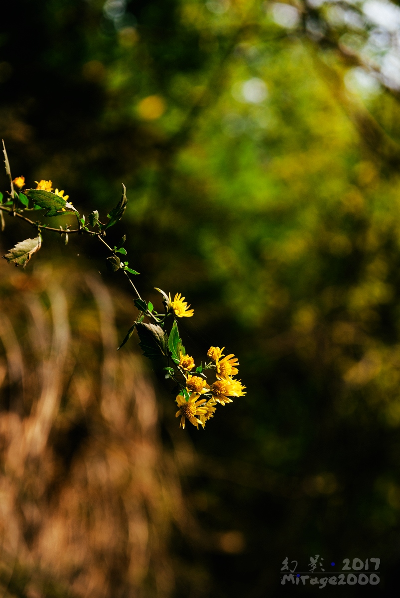 余杭十大旅游景点有哪些,余杭区山沟沟
