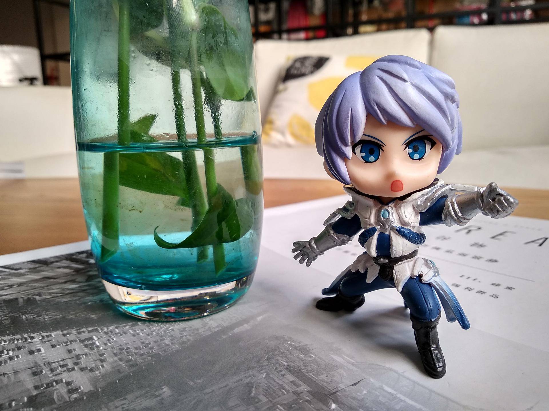 红米5plus和魅蓝note6,红米note5与魅蓝note6拍照对比