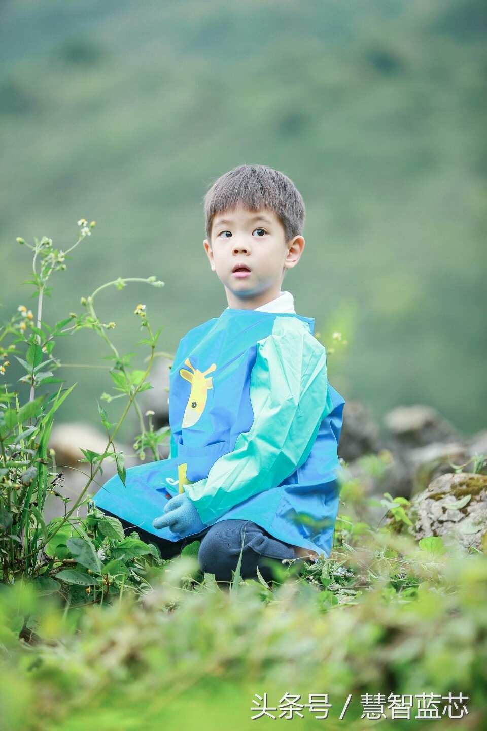 爸爸去哪儿第五季嗯哼大王,爸爸去哪儿嗯哼刚出现视频