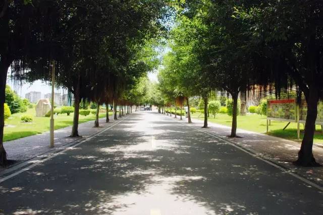 福州的工作技术学院有哪些,福州工作技术学院都有什么学院