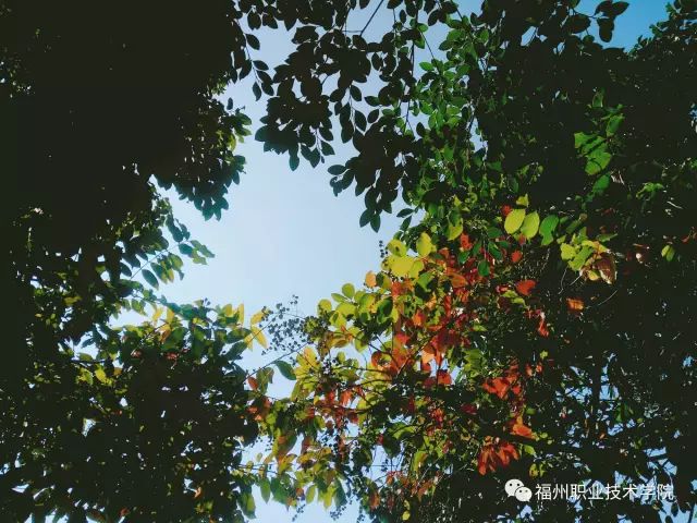 福州的工作技术学院有哪些,福州工作技术学院都有什么学院