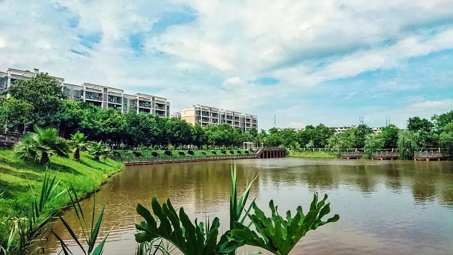 江西知名度最高的大学排名,江西省最强的20所大学