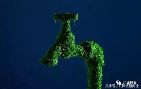 有你家的孩子吗,有你家娃吗