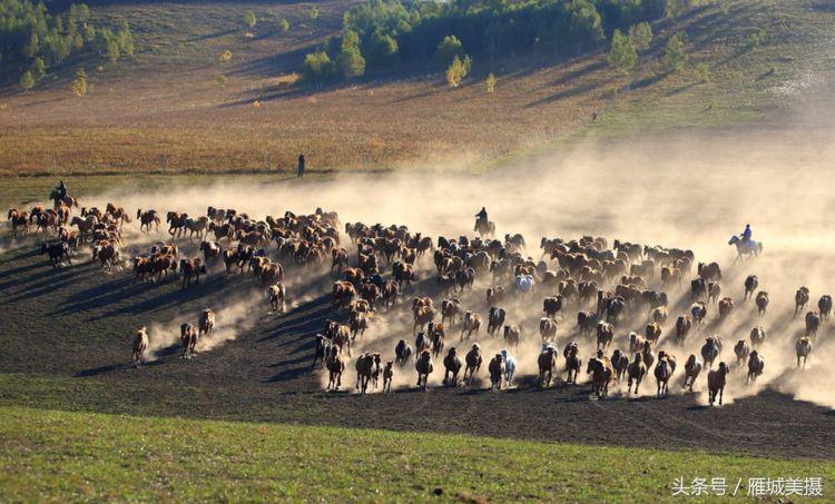 内蒙古大草原骑马狂奔照片,草原天堂写真