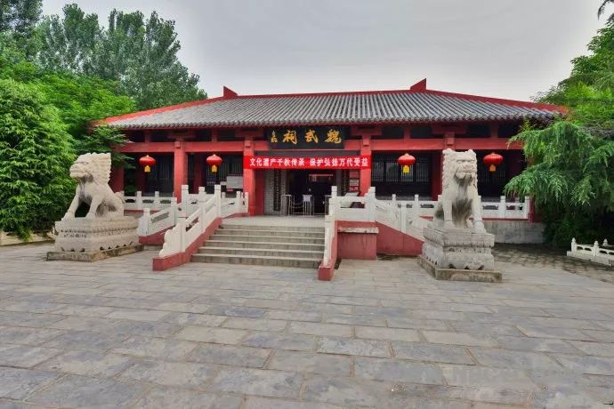 世界上最好的养生药,十大最养生药