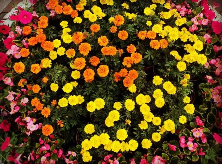 福州的工作技术学院有哪些,福州工作技术学院都有什么学院