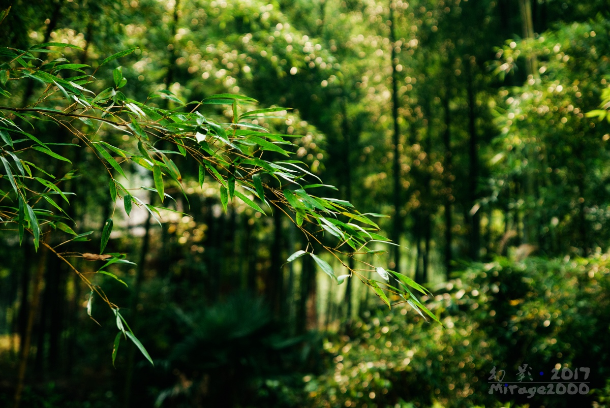 余杭十大旅游景点有哪些,余杭区山沟沟