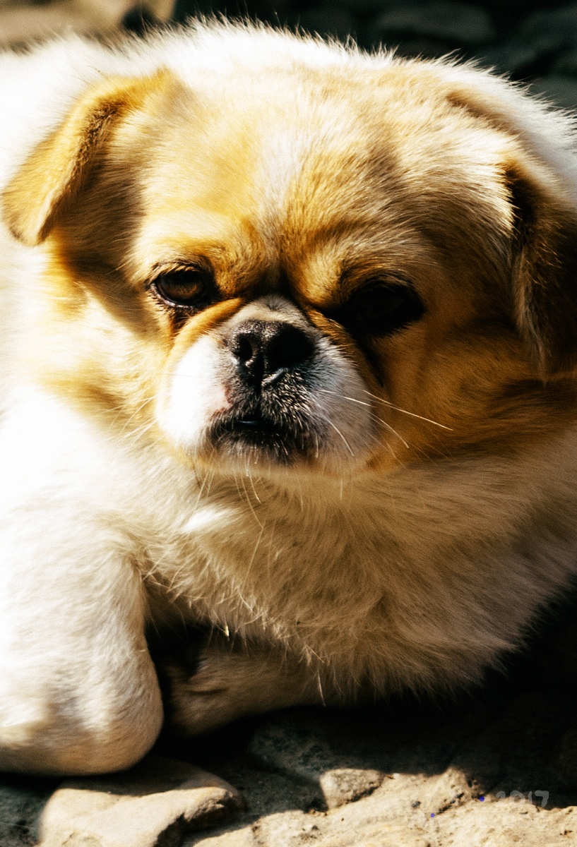 余杭十大旅游景点有哪些,余杭区山沟沟