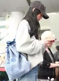 刘雯每月收入多少钱,刘雯收入2018排第几