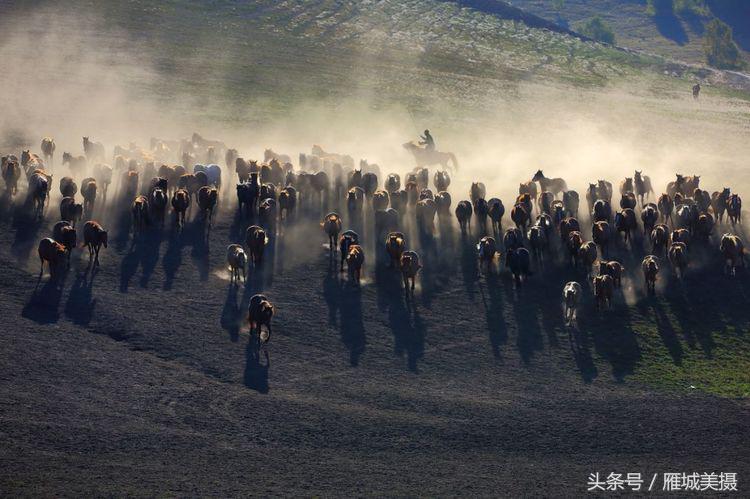 内蒙古大草原骑马狂奔照片,草原天堂写真