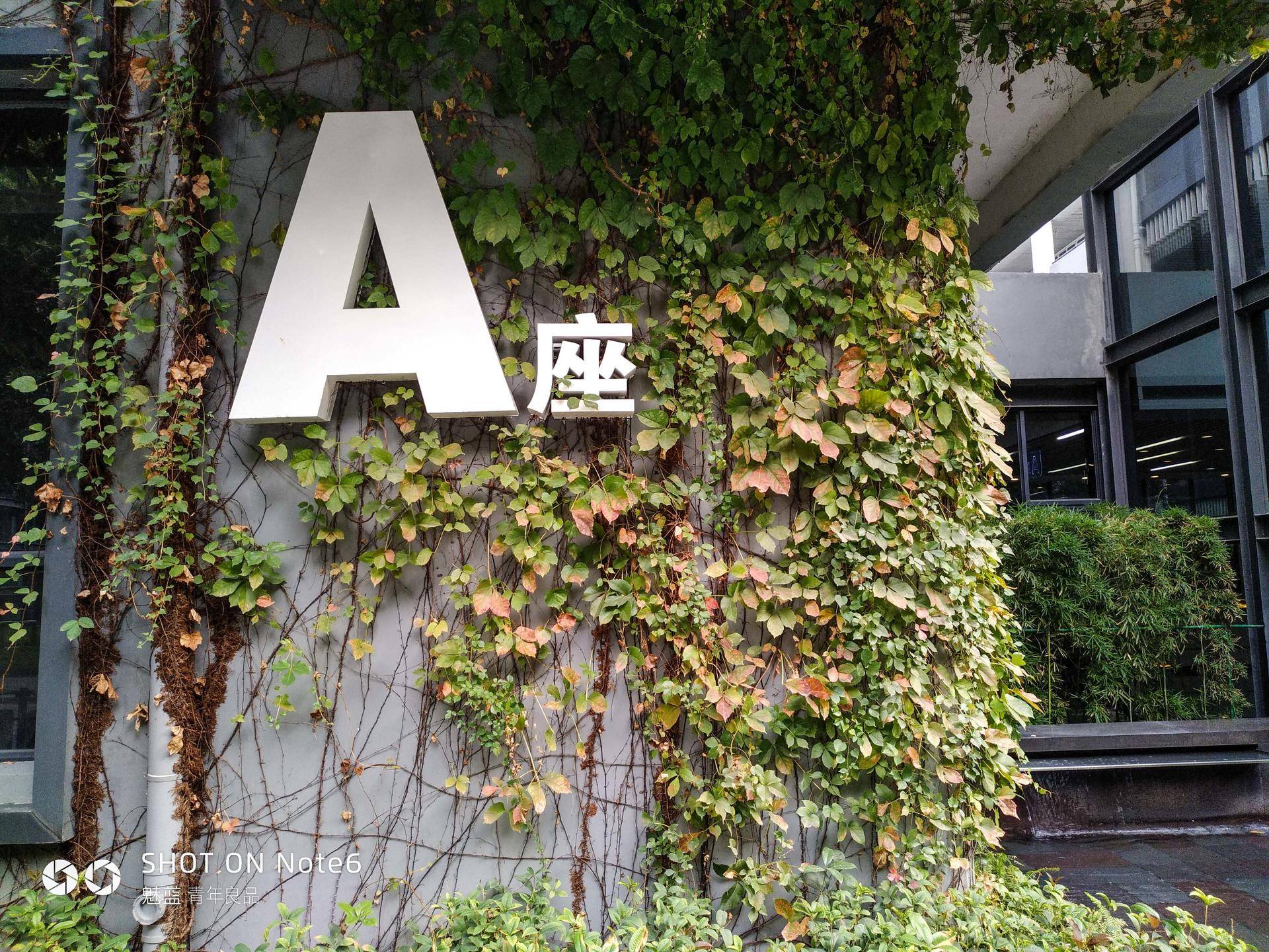 红米5plus和魅蓝note6,红米note5与魅蓝note6拍照对比