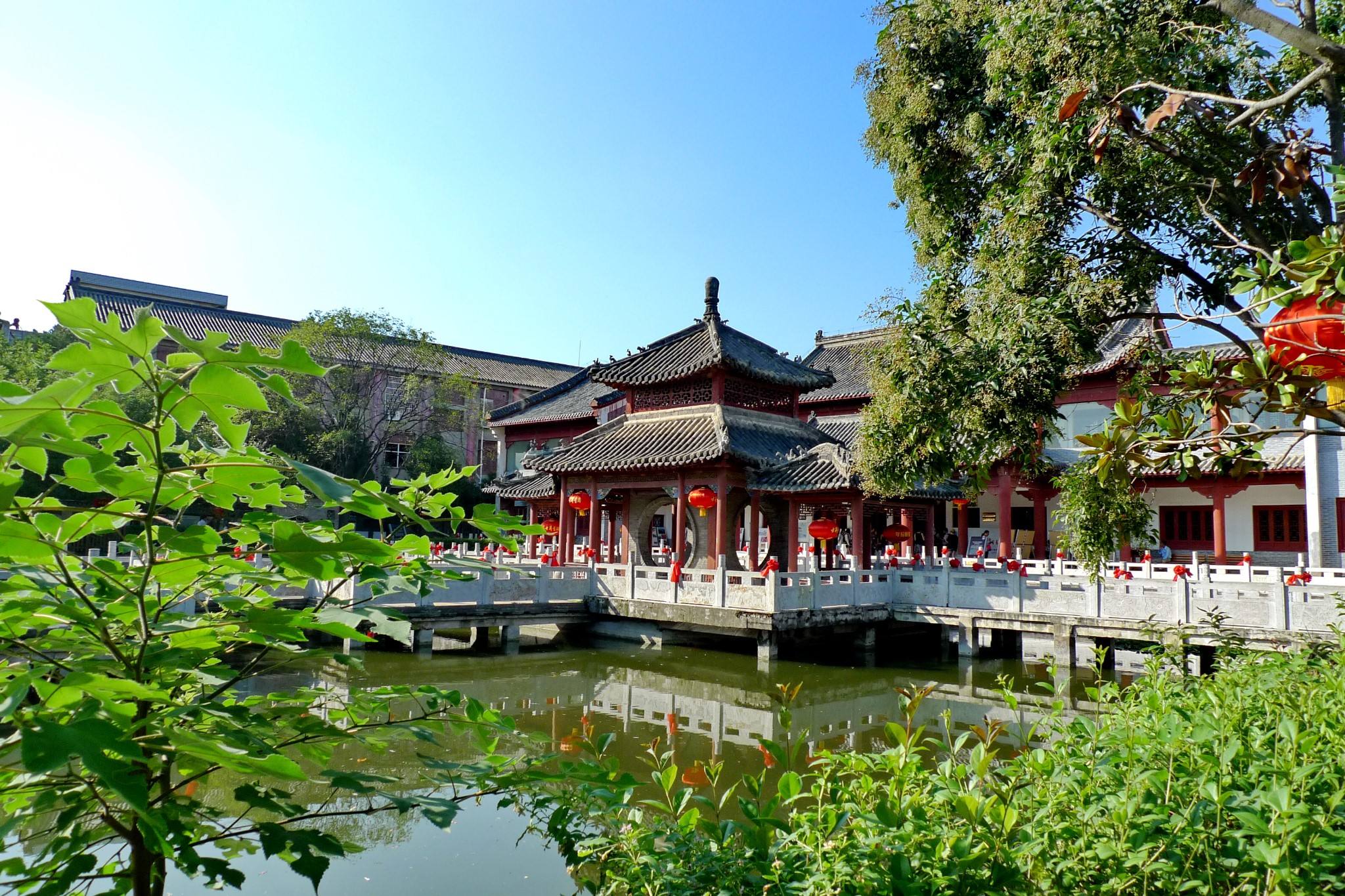 世界上最好的养生药,十大最养生药