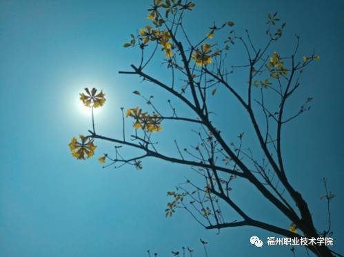 福州的工作技术学院有哪些,福州工作技术学院都有什么学院