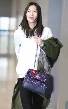 刘雯每月收入多少钱,刘雯收入2018排第几