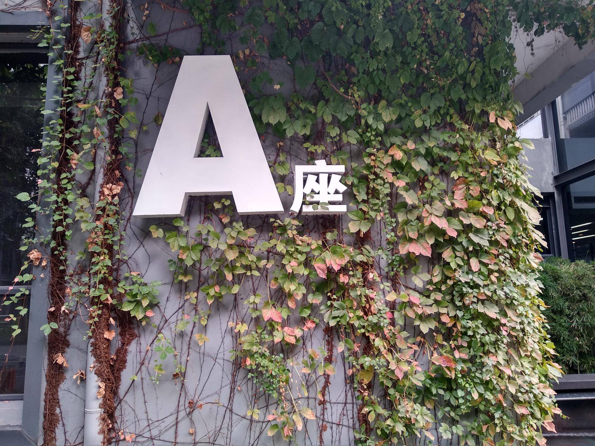 红米5plus和魅蓝note6,红米note5与魅蓝note6拍照对比