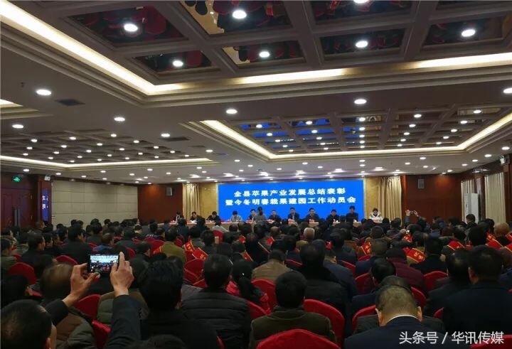 陕西凤翔苹果品种,陕西凤翔特产苹果