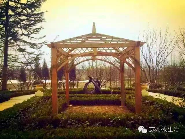 园博园花海在哪个位置,园博园花海现在还有么