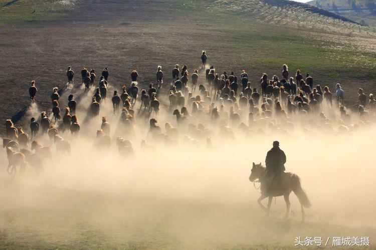 内蒙古大草原骑马狂奔照片,草原天堂写真