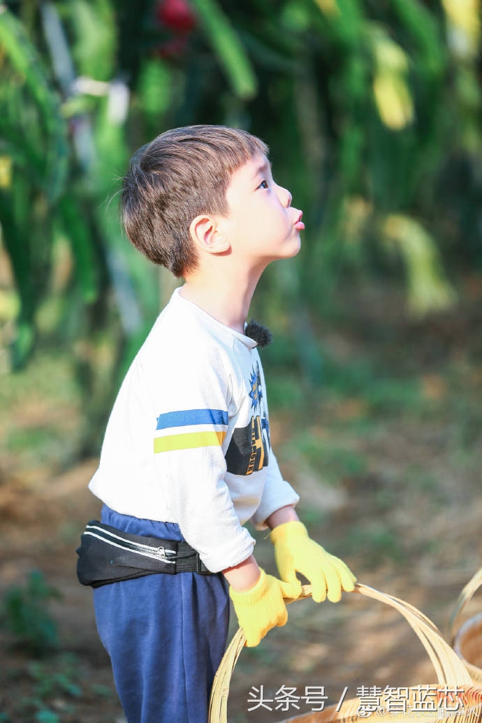 爸爸去哪儿第五季嗯哼大王,爸爸去哪儿嗯哼刚出现视频