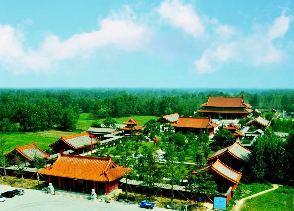 世界上最好的养生药,十大最养生药