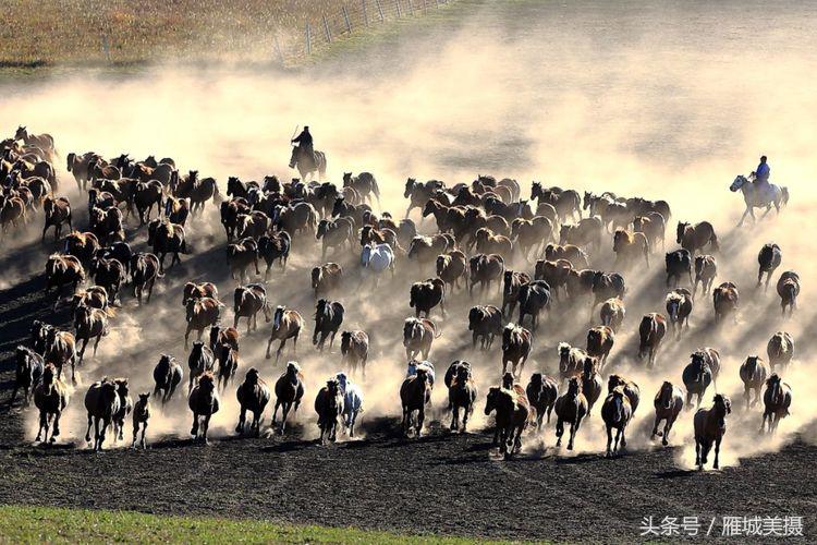 内蒙古大草原骑马狂奔照片,草原天堂写真