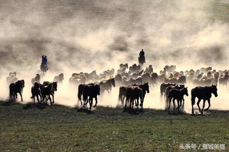 内蒙古大草原骑马狂奔照片,草原天堂写真