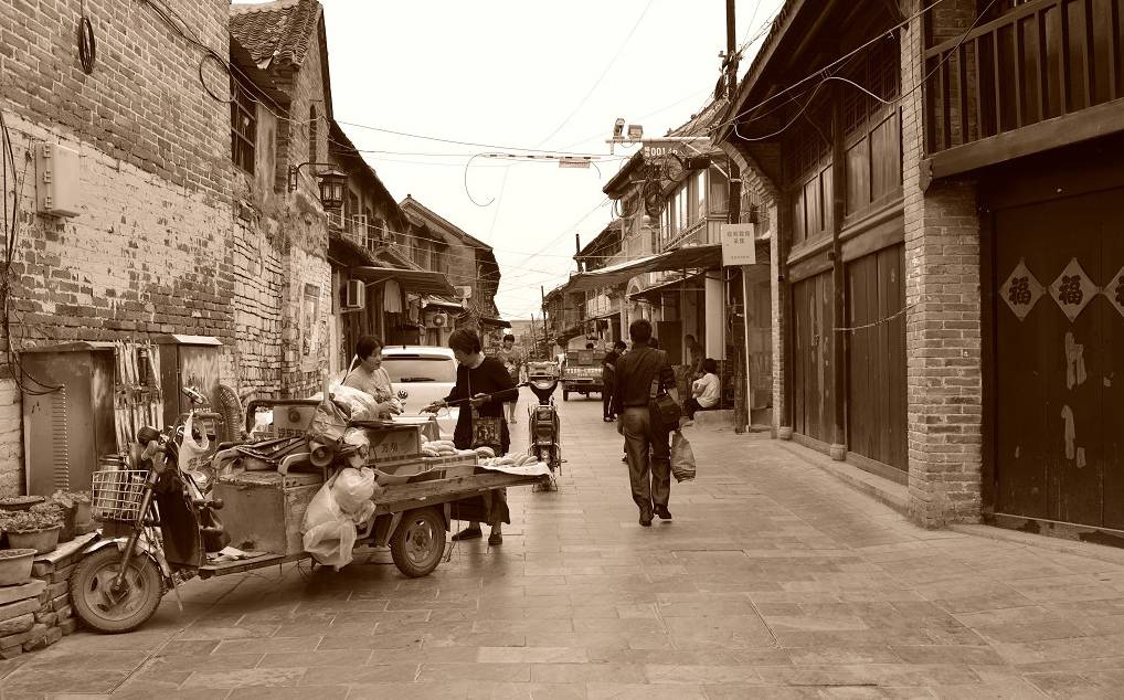 世界上最好的养生药,十大最养生药